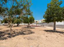 Resale - Villa / Semi detached - Montesinos - Los Montesinos