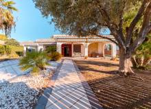 Resale - Villa / Semi detached - Orihuela Costa - Dehesa de campoamor