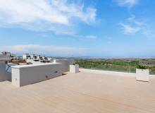 Resale - Villa / Semi detached - San Miguel - San Miguel Salinas