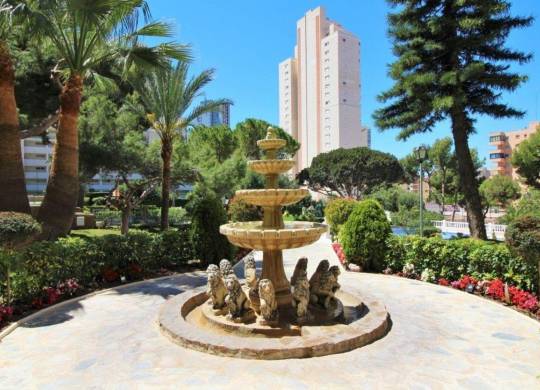 Studio - Resale - Benidorm - Benidorm