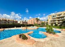 Venta - Apartment / flat - Dehesa de campoamor - Campoamor