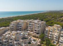 Venta - Apartment / flat - Guardamar del Segura