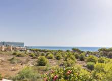 Venta - Apartment / flat - Guardamar del Segura