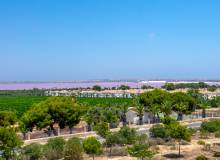 Venta - Apartment / flat - Los Balcones Los Altos