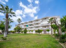 Venta - Apartment / flat - Orihuela Costa - Cabo Roig 