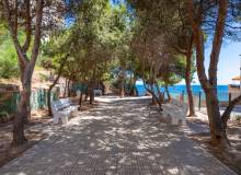 Venta - Apartment / flat - Orihuela Costa - Cabo Roig 