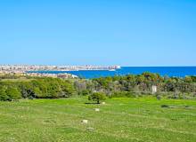 Venta - Apartment / flat - Orihuela Costa - Punta Prima