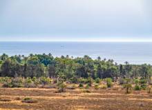 Venta - Apartment / flat - Torrevieja - Punta prima