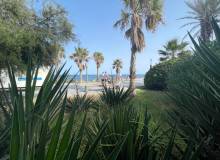 Venta - Commercial Unit - Torrevieia - Comunidad Valenciana