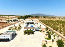 Venta - Detached Villa - Pinoso