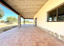 Venta - Finca / Country Property - Elche - Matola