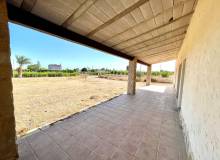 Venta - Finca / Country Property - Elche - Matola
