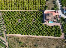 Venta - Finca - Country Property - Orihuela - Orihuela Costa