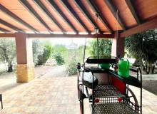 Venta - Finca / Country Property - Orihuela - Orihuela Costa
