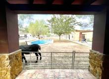 Venta - Finca / Country Property - Orihuela - Orihuela Costa