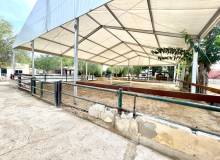 Venta - Finca / Country Property - Orihuela - Orihuela Costa