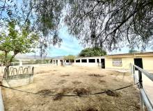 Venta - Finca / Country Property - Orihuela - Orihuela Costa