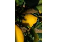 Venta - Town House - El Campello